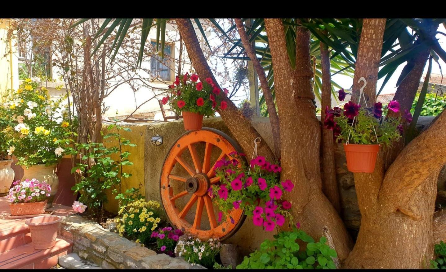 Su Carreri Bed & Breakfast Armungia Exterior photo